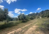 Detached villa with land for sale on España, Valderrobres, ref: TR408025 photo