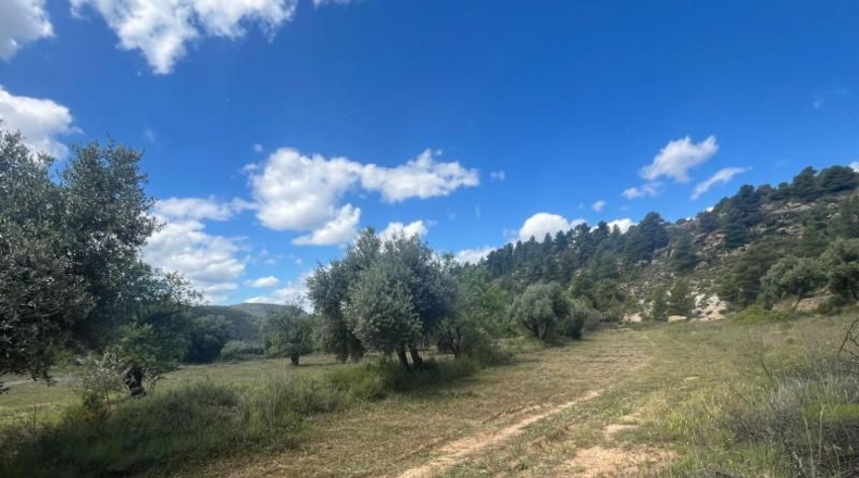 Teruel - Valderrobres - 59666m2