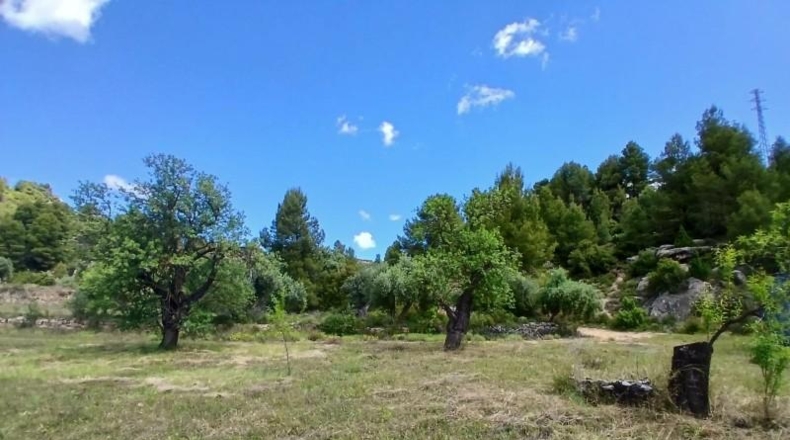 Teruel - Valderrobres - 59666m2