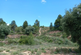 Vall-de-roures 59666&nbsp;m² 