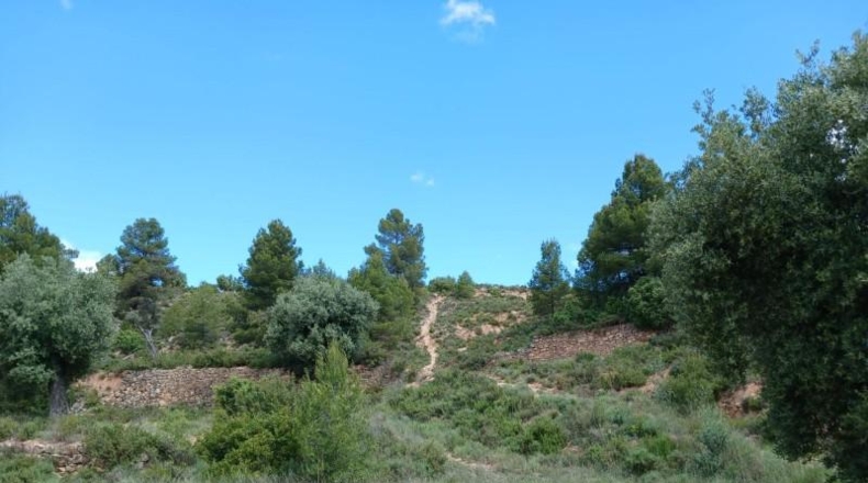 Teruel - Valderrobres - 59666m2