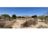 Non-developable land for sale on España, La Alcoraya, ref: TR122376 photo