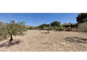 Non-developable land for sale on España, La Alcoraya, ref: TR122376 photo