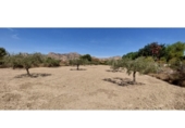 Non-developable land for sale on España, La Alcoraya, ref: TR122376 photo