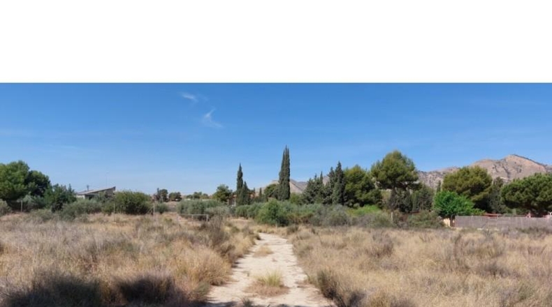 Alicante - Alicante - 8663m2