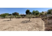 Non-developable land for sale on España, La Alcoraya, ref: TR122376 photo
