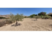 Non-developable land for sale on España, La Alcoraya, ref: TR122376 photo
