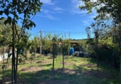 Sòl urbà en venda a la España, Entrambasaguas, ref.: TR344236 foto