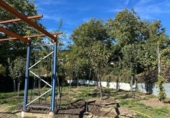 Sòl urbà en venda a la España, Entrambasaguas, ref.: TR344236 foto