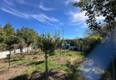 Sòl urbà en venda a la España, Entrambasaguas, ref.: TR344236 foto