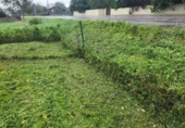 Non-developable land for sale on España, Pola de Siero, ref: TR126507 photo
