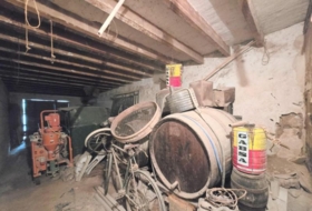 Foto 13