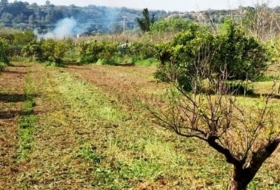Roquetes 7455&nbsp;м²