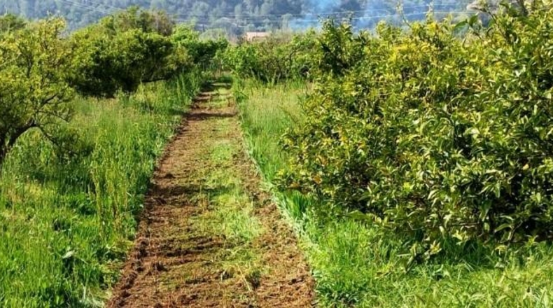 Tarragona - Roquetes - 7455m2