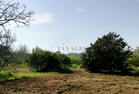 Roquetes 7455&nbsp;м²