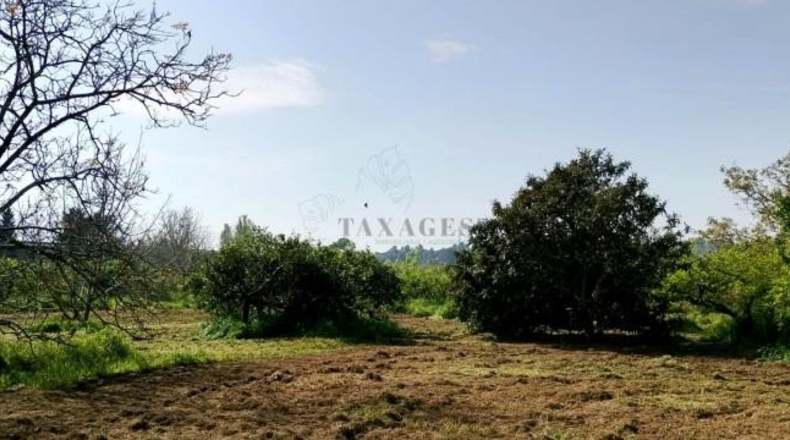 Tarragona - Roquetes - 7455m2