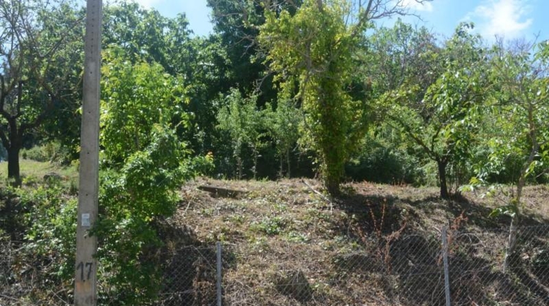 Barcelona - Corbera de Llobregat - 2000m2
