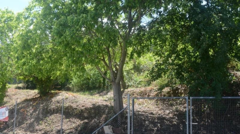 Barcelona - Corbera de Llobregat - 2000m2
