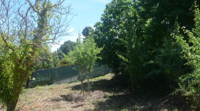 Barcelona - Corbera de Llobregat - 2000m2