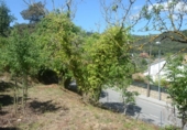 Parcel·la urbanitzable en venda a la España, Corbera de Llobregat, ref.: TR408044 foto
