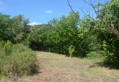Parcel·la urbanitzable en venda a la España, Corbera de Llobregat, ref.: TR408044 foto