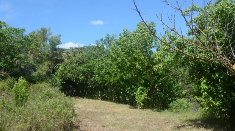 Barcelona - Corbera de Llobregat - 2000m2