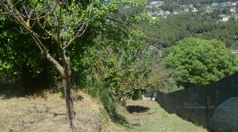 Barcelona - Corbera de Llobregat - 2000m2