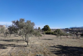 Ontinyent 12065&nbsp;m²