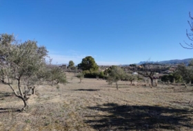 Ontinyent 12065&nbsp;m²