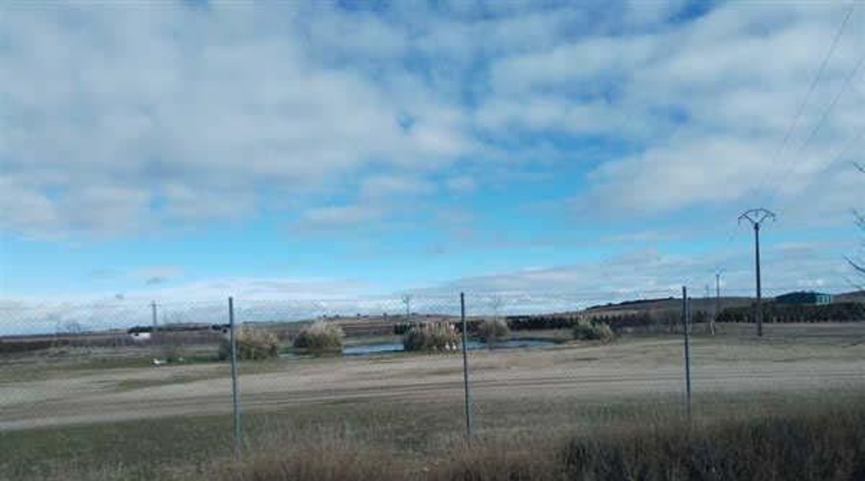 Segovia - Codorniz - 116690m2