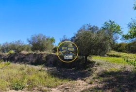 Albaida 21882&nbsp;м²