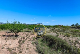 Albaida 21882&nbsp;м²