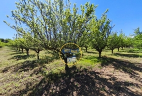 Albaida 21882&nbsp;м²