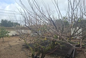 Chiclana de la Frontera 320&nbsp;m² 