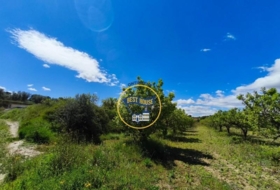 Agullent 54441&nbsp;m²