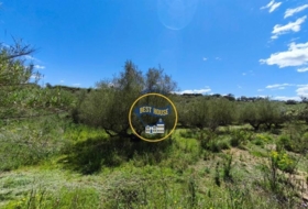 Agullent 54441&nbsp;m²