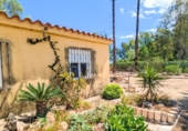 Casa de camp amb terreny en venda a la España, Amposta, ref.: TR408069 foto