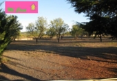 Xalet independent amb terreny en venda a la España, Ateca, ref.: TR134546 foto