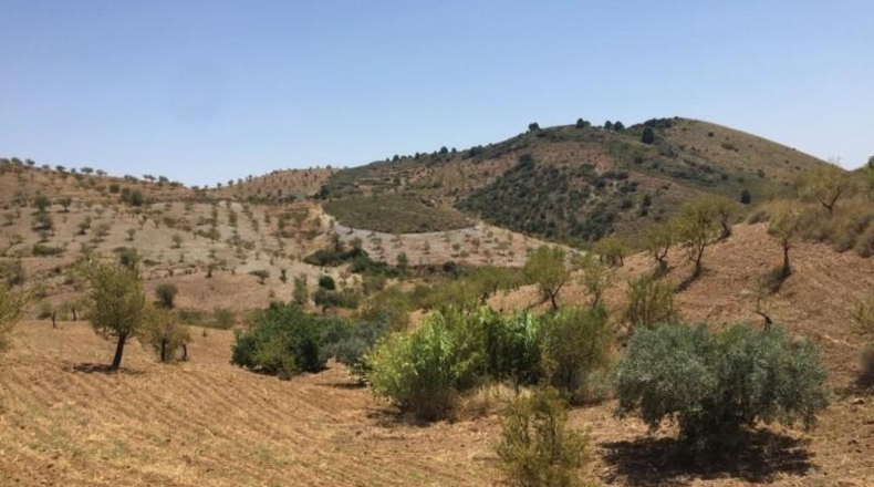 Murcia - Lorca - 239m2