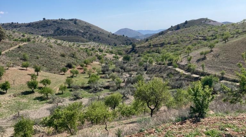 Murcia - Lorca - 239m2