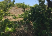 Casa de campo con terreno en venta en la España, Lorca, ref: TR408079 foto