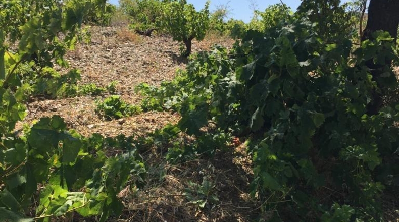 Murcia - Lorca - 239m2