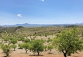 Casa de campo con terreno en venta en la España, Lorca, ref: TR408079 foto
