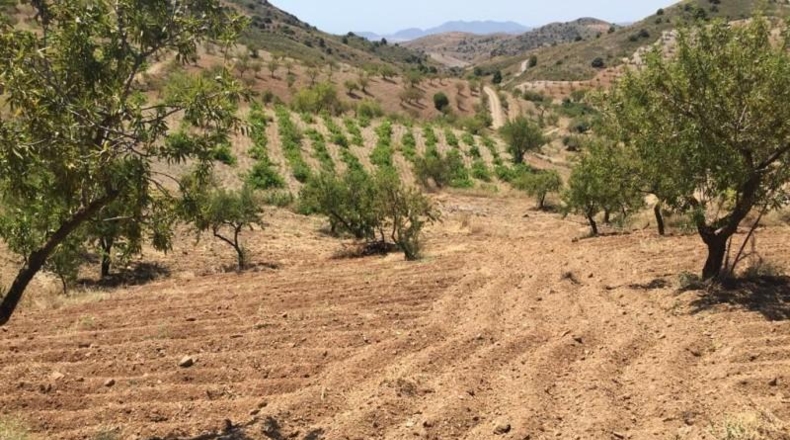 Murcia - Lorca - 239m2