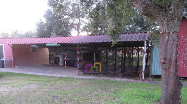 Badajoz - Badajoz - 5000m2