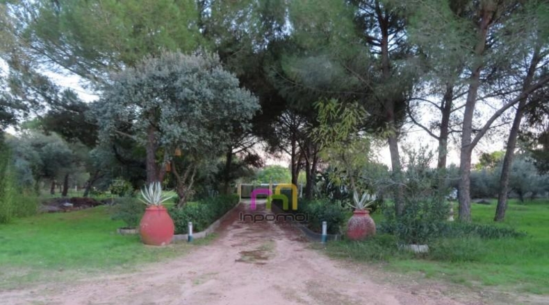 Badajoz - Badajoz - 5000m2