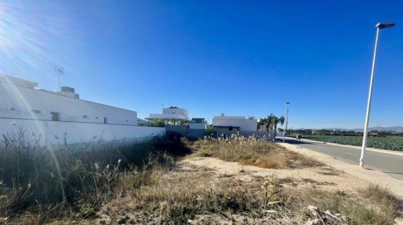 Alicante - Formentera del Segura - 528m2