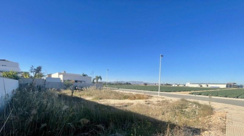 Alicante - Formentera del Segura - 528m2