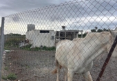 Terreno no urbanizable en venta en la España, Puçol, ref: TR408117 foto