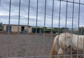Terreno no urbanizable en venta en la España, Puçol, ref: TR408117 foto